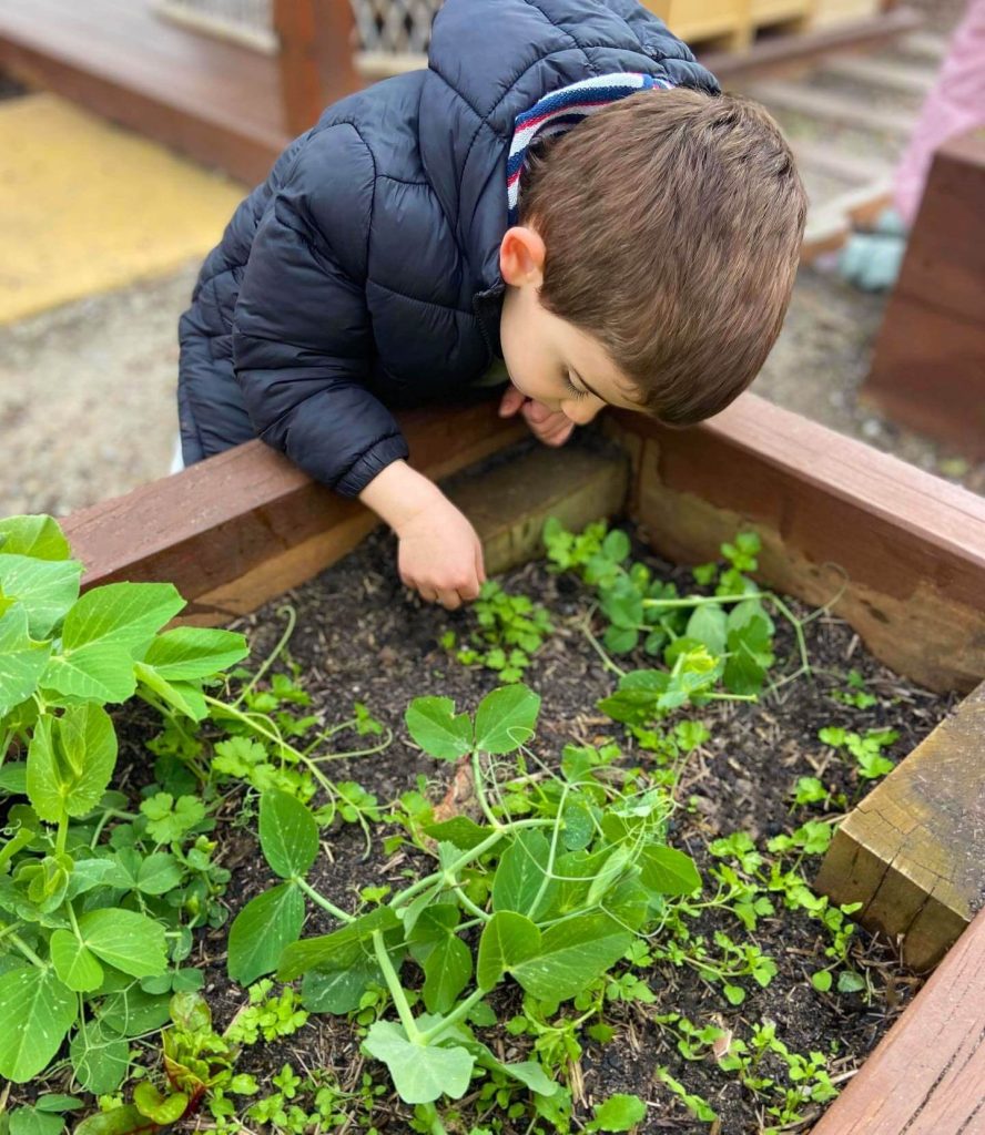 Community Kids Haven - Green Haven