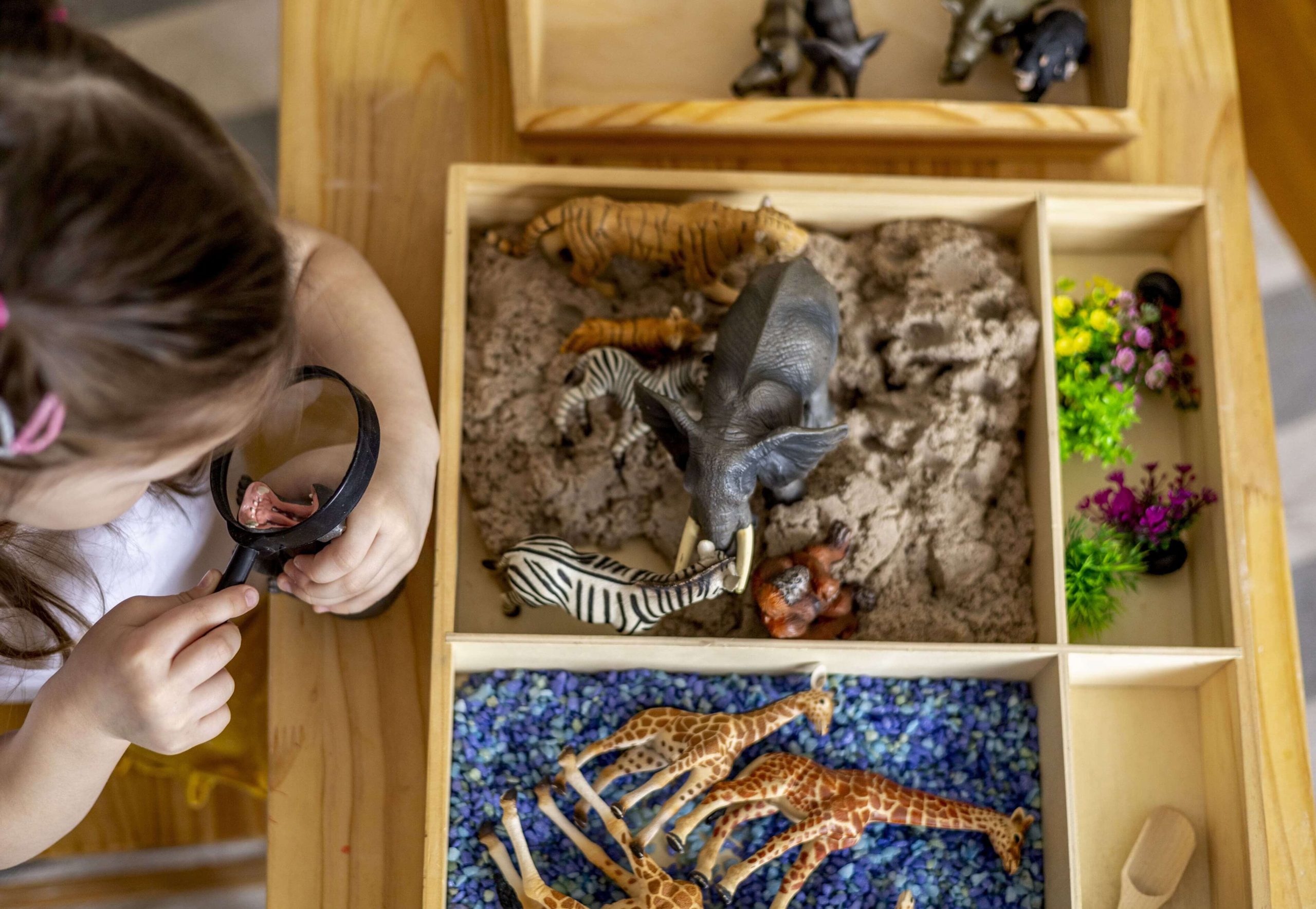 How Play-Based Learning Shapes Young Minds