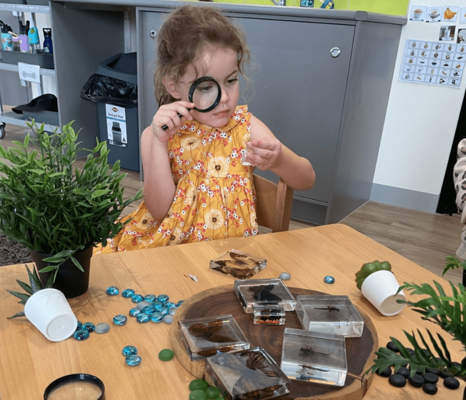 Insect Week